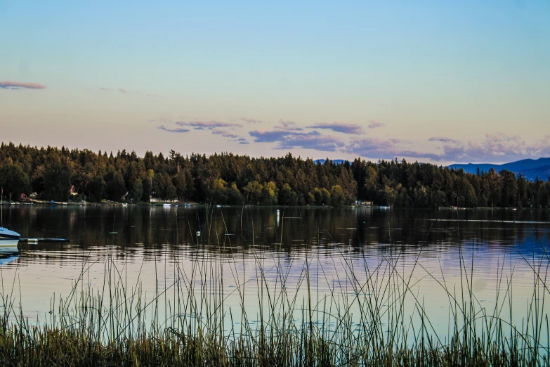 a lone house on the water surrounded by trees