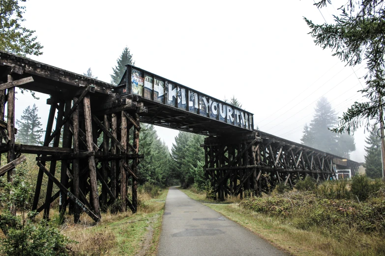 a train is crossing an overpass in the woods