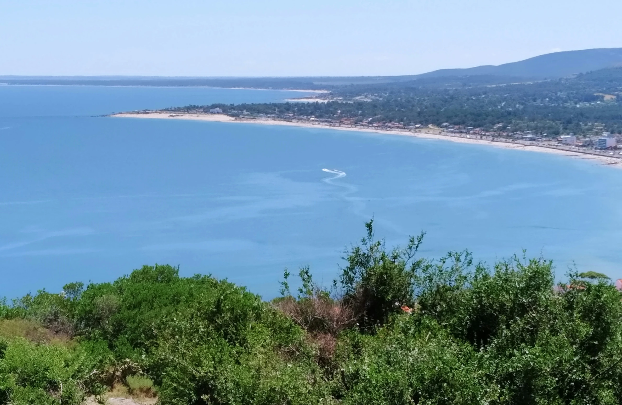 the shoreline of the blue ocean is dotted with trees