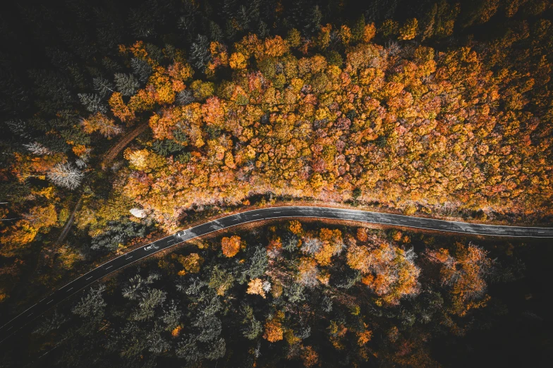 an aerial view of a long stretch of road surrounded by a forest in autumn