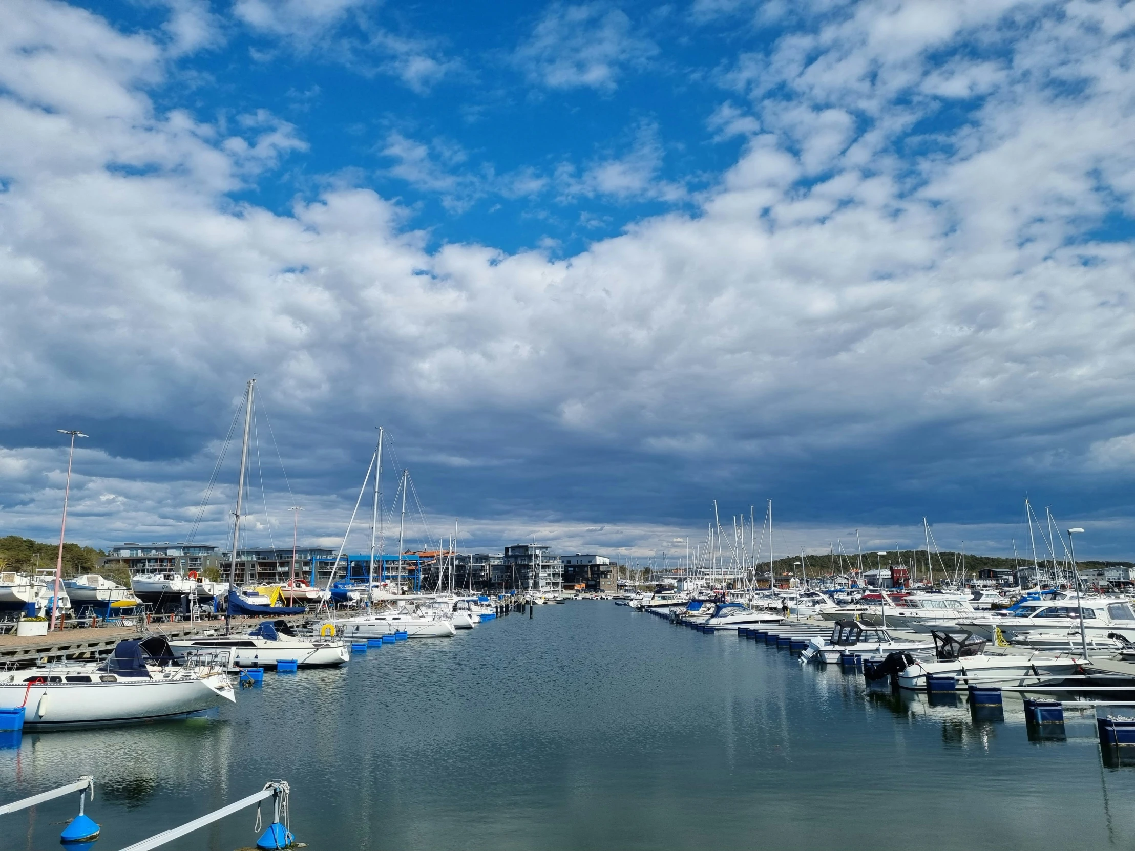 a harbor with a bunch of sailboats in the water