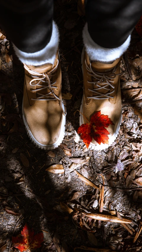 the foot of a person wearing shoes on leaves