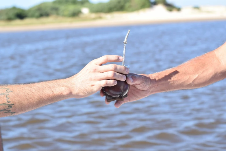 a pair of hands reaching for an object by the water