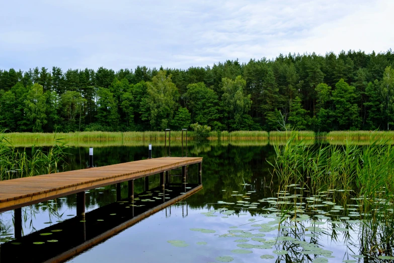 a bench sitting on top of a body of water