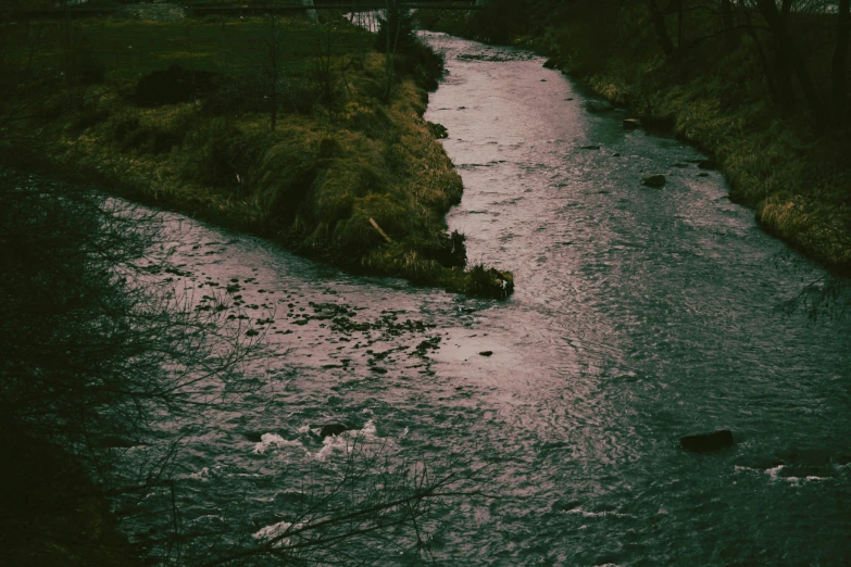 there are many trees and bushes along the river