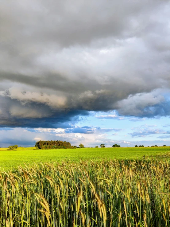 a field is under a sky with clouds