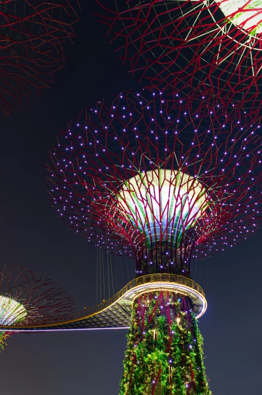 the giant trees are illuminated with red and blue lights