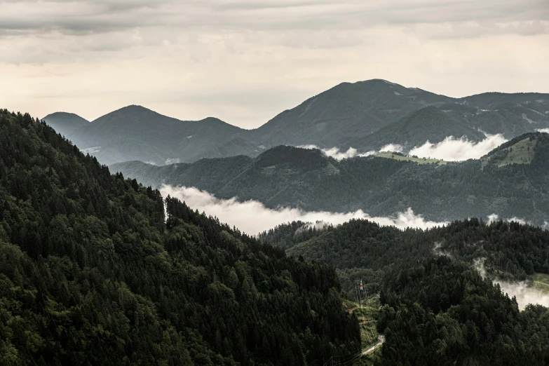 the fog rises above the trees in the mountains