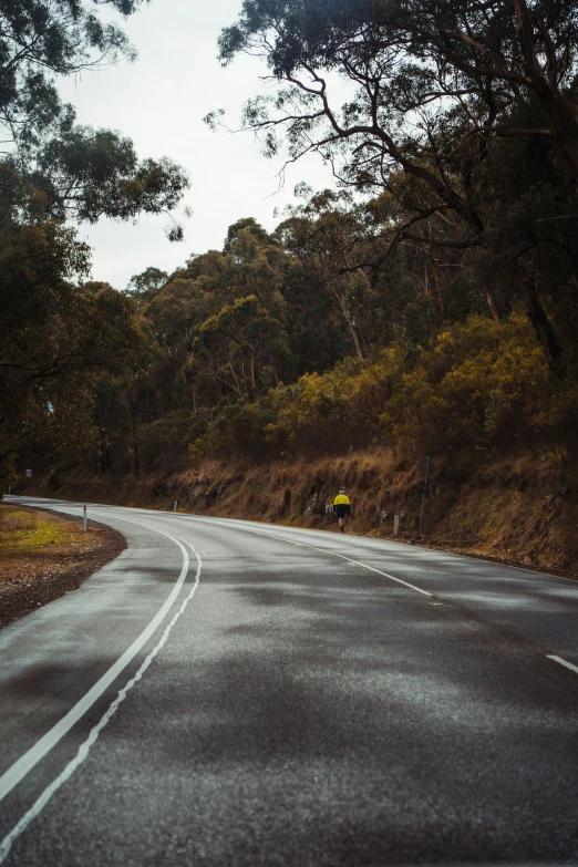 a narrow road is shown on either side of it