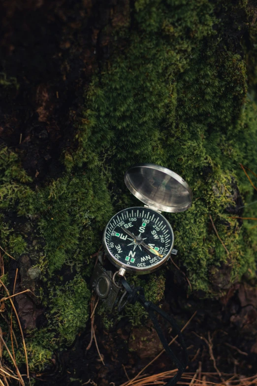 a close up of a compass in front of a tree