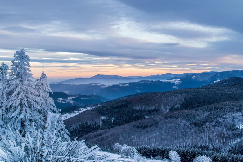 view of snow covered trees on a mountain with sunset in the distance