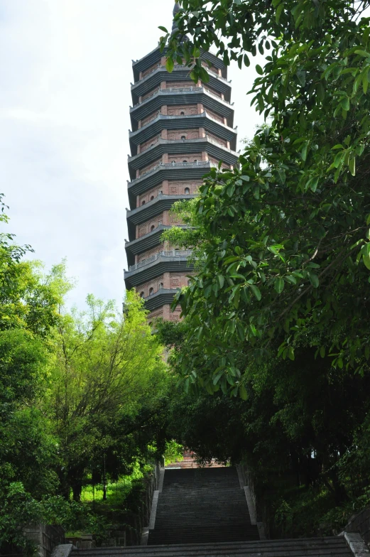 this is a picture of an unusual building in the middle of a tree lined path