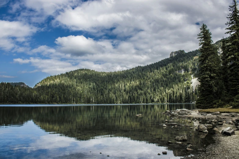 calm water, trees and sky reflected in the still lake