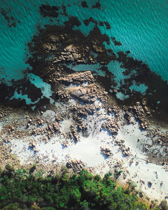 an aerial view of a sandy beach with trees and water