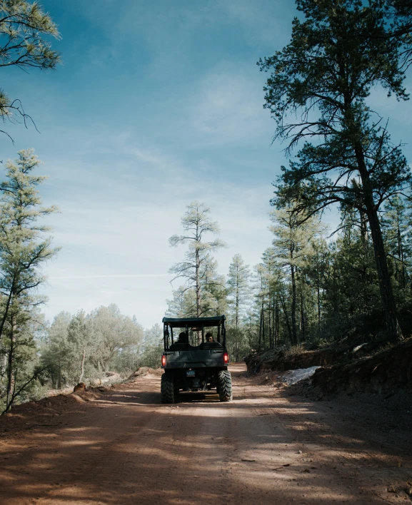 a golf cart driving on a dirt road through the woods