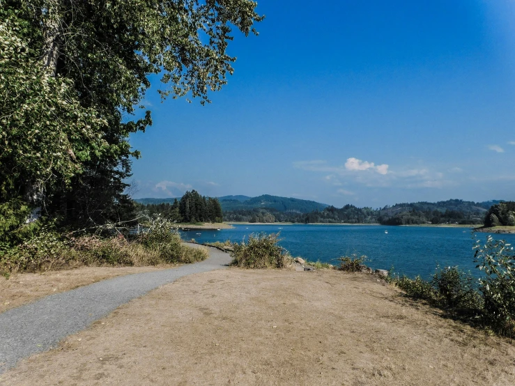 a road by the water is next to some trees