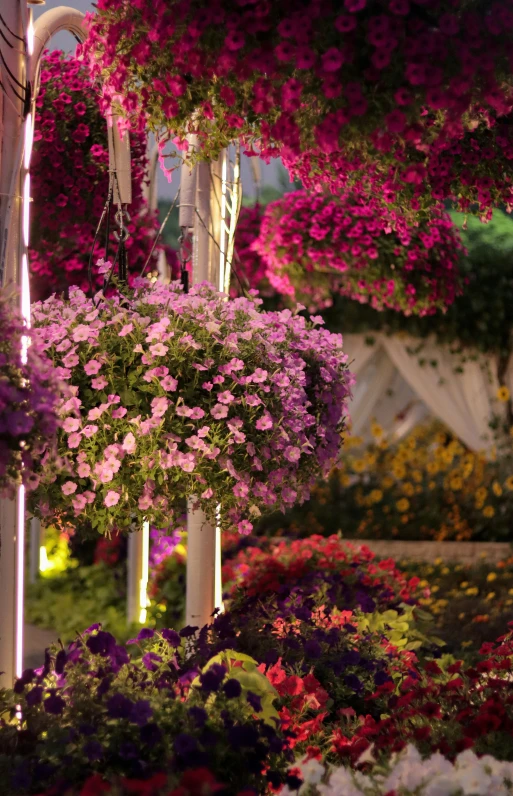 several different types of flowers growing on pillars in an outdoor garden