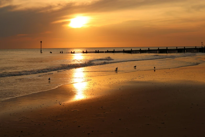 sunset view of ocean, pier and birds on sandy beach