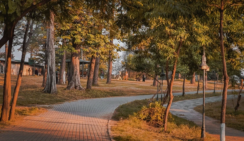 a paved pathway leads through the trees in a park