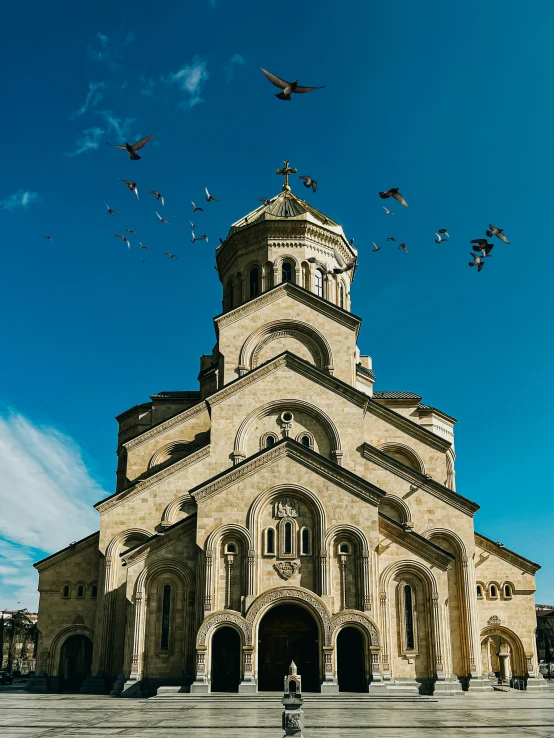 there are many birds flying around in front of this building