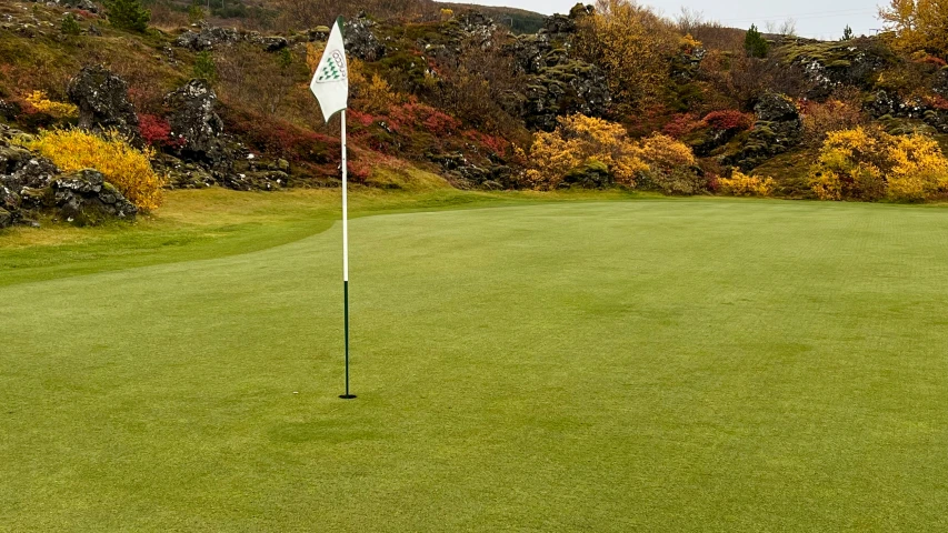 a view from behind the green of a golf course