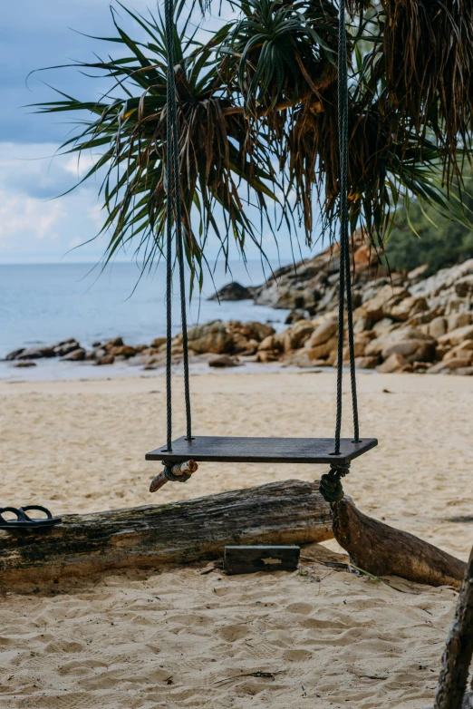 a wooden swing on the beach near the ocean