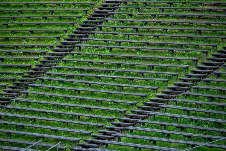 some chairs sitting by some very tall grass