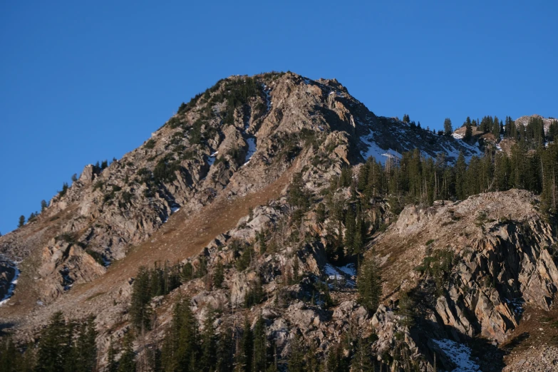 a group of trees next to a snow covered mountain