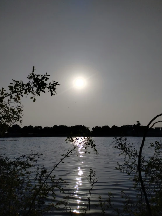 a very pretty bright sun reflecting in the water