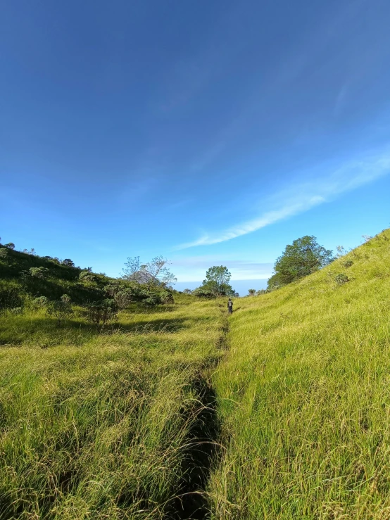 the grass has been cut down from the hill