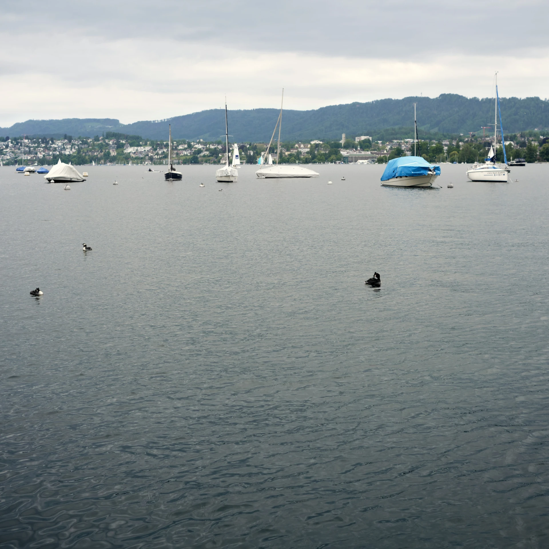 several boats float on the water in a harbor