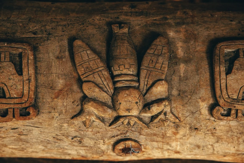 three bugs carved into stone on display