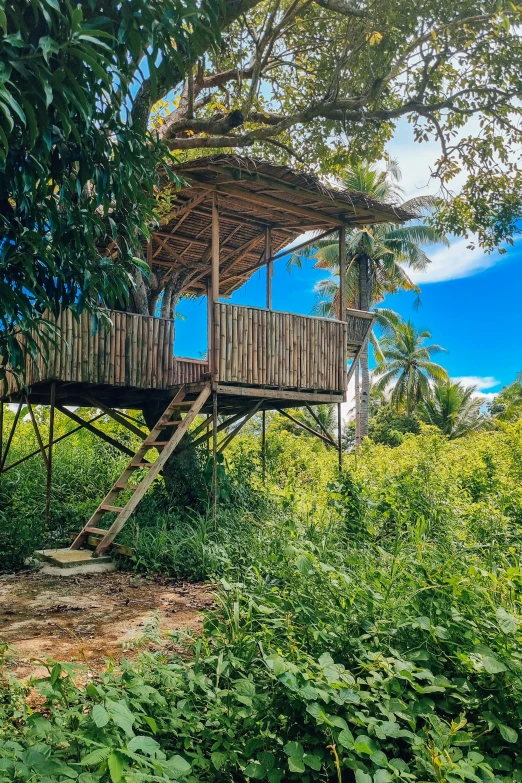 a wooden treehouse in the middle of the forest