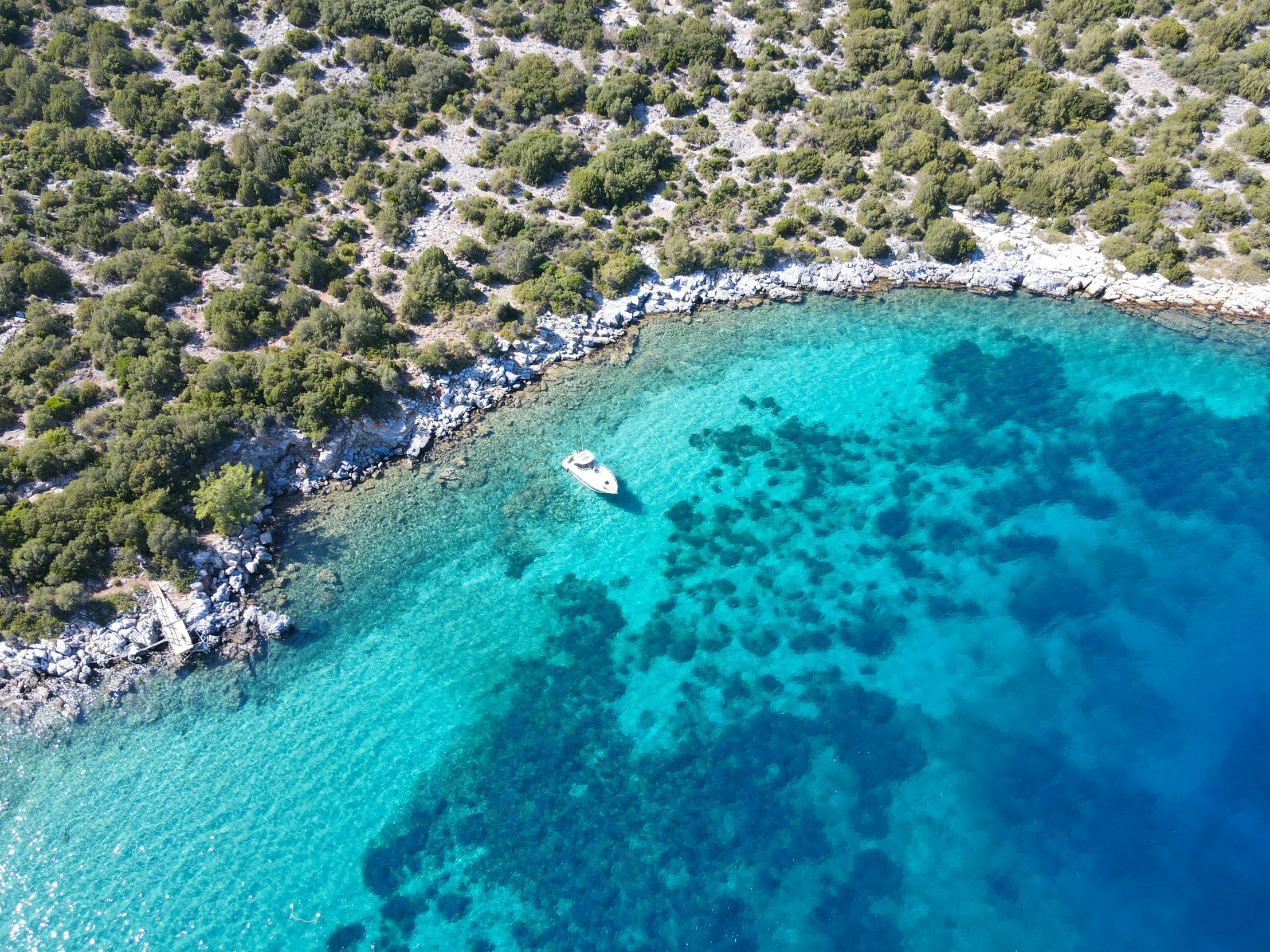 boat out in the middle of a small inlet surrounded by trees