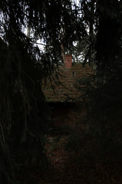 a dark background with the roof of a building in the distance and green leaves around