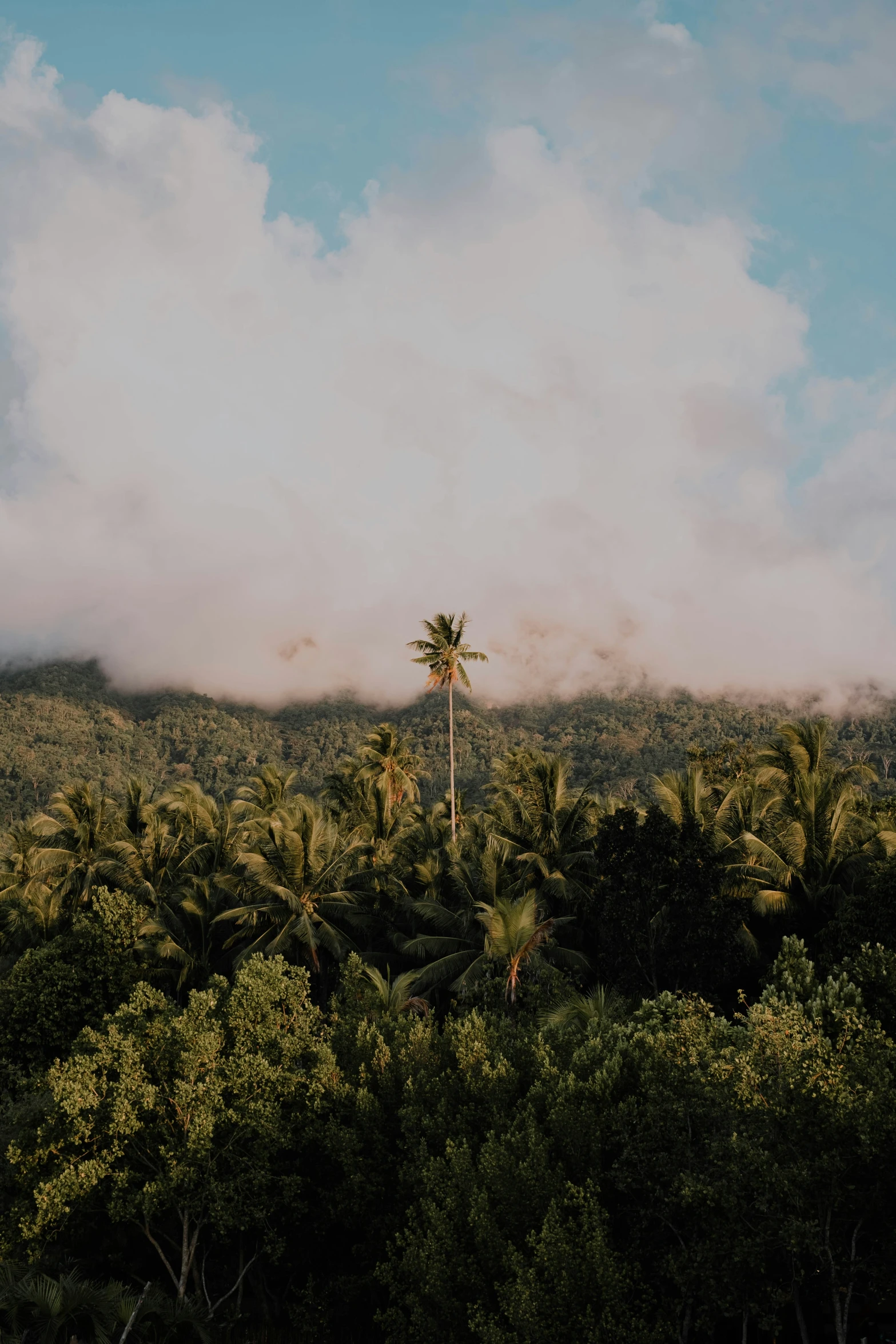 the clouds can be seen passing over some trees