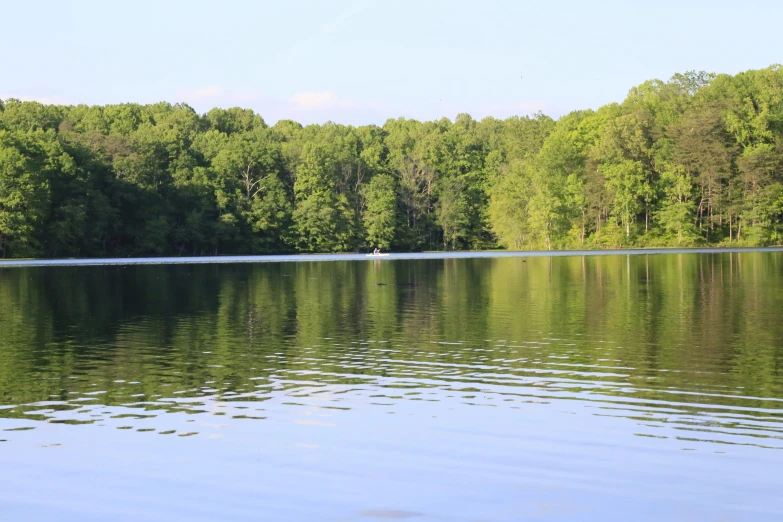 a large lake surrounded by trees and some people on a boat