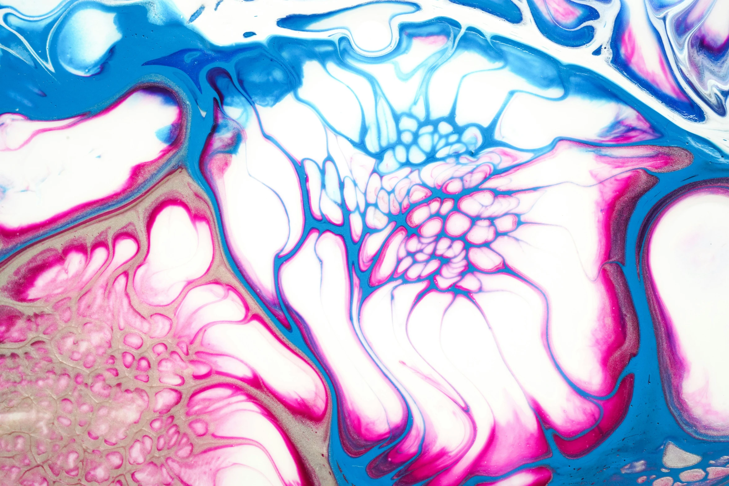 a close up of a pink, blue and pink flower pattern