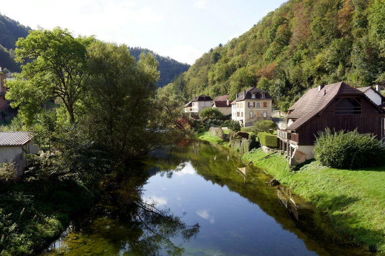 a stream flowing through the middle of a lush green forest