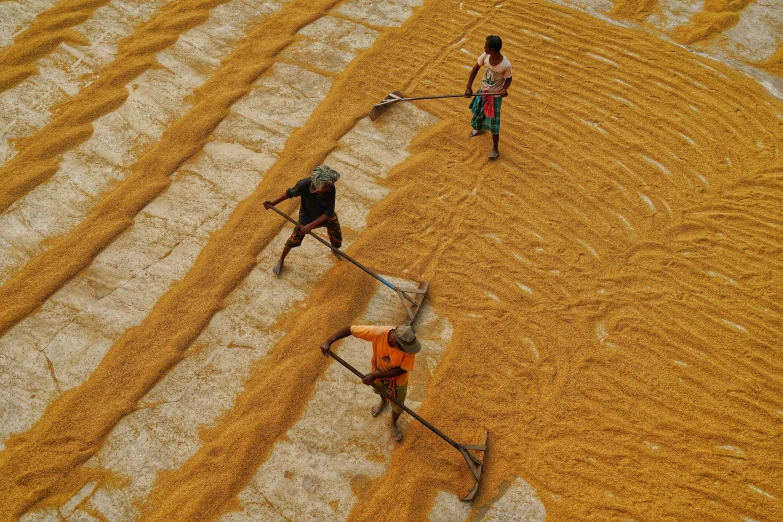 the workers are busy working with the grain