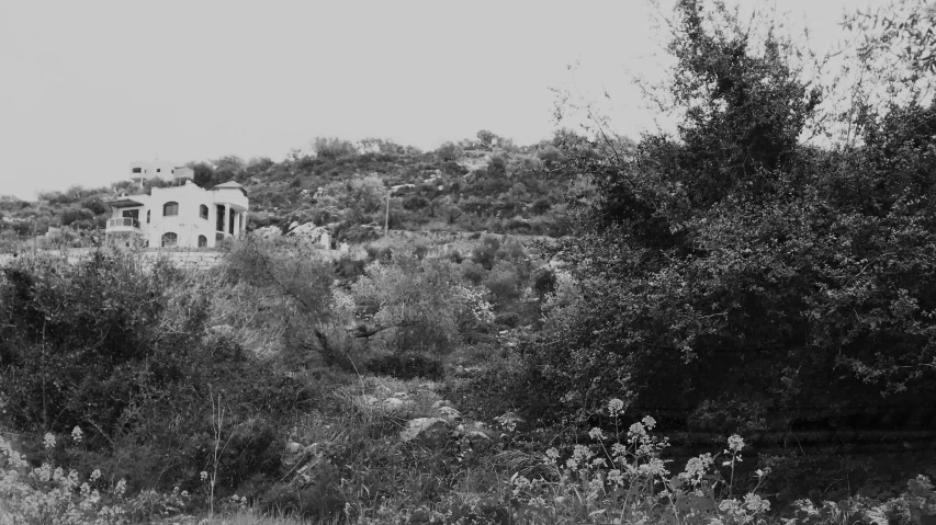 there is a house in the trees and a mountain