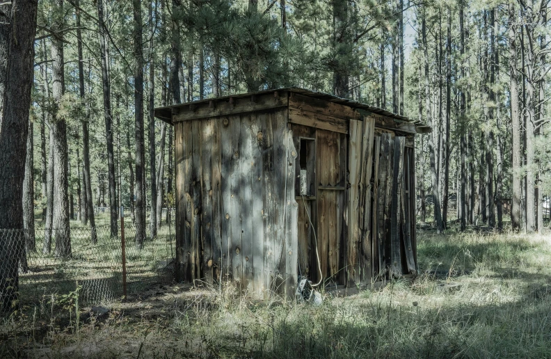 an outhouse is in the middle of a forest