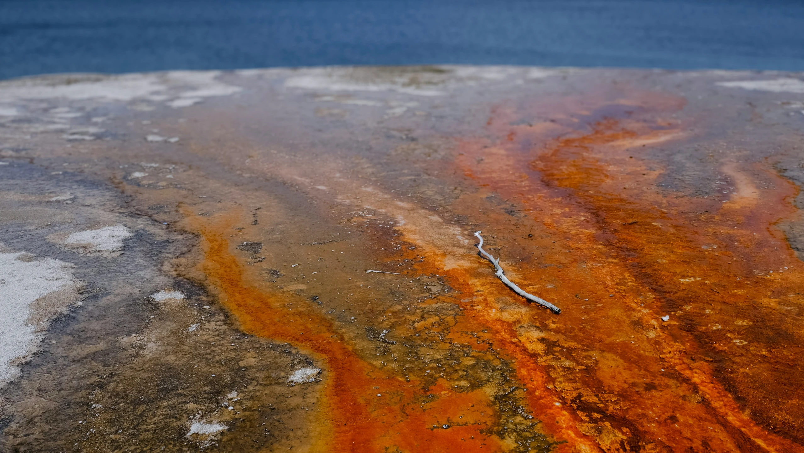 this is a pograph of the surface of the ocean