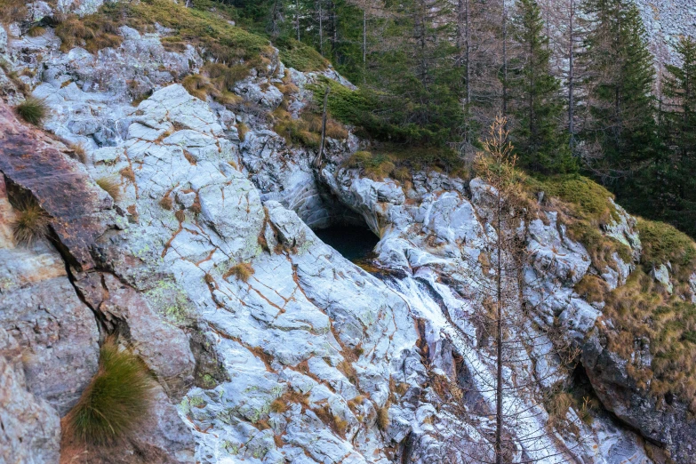 a snowy forest area with small rock formations and a hollow