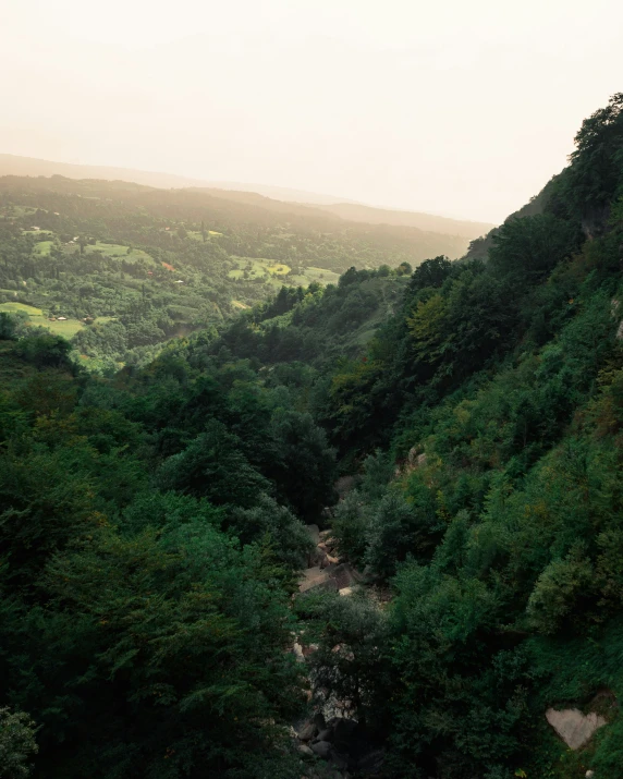 an aerial view of a forested area next to a mountain