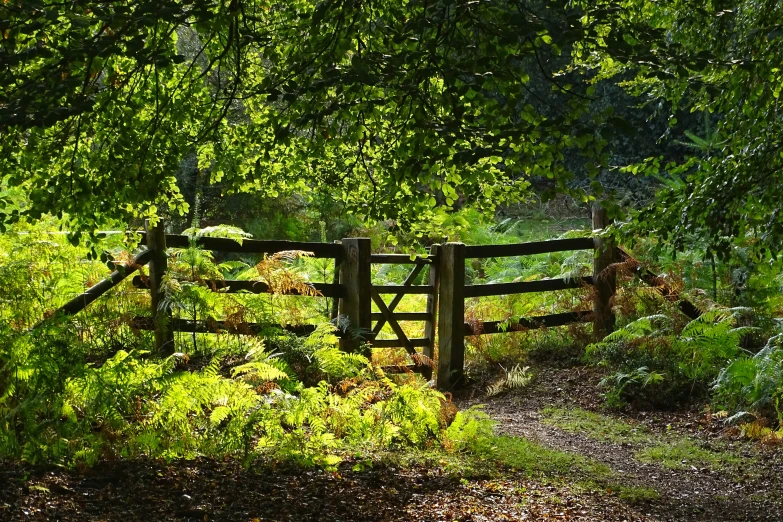 a wooden gate is shown surrounded by grass and trees