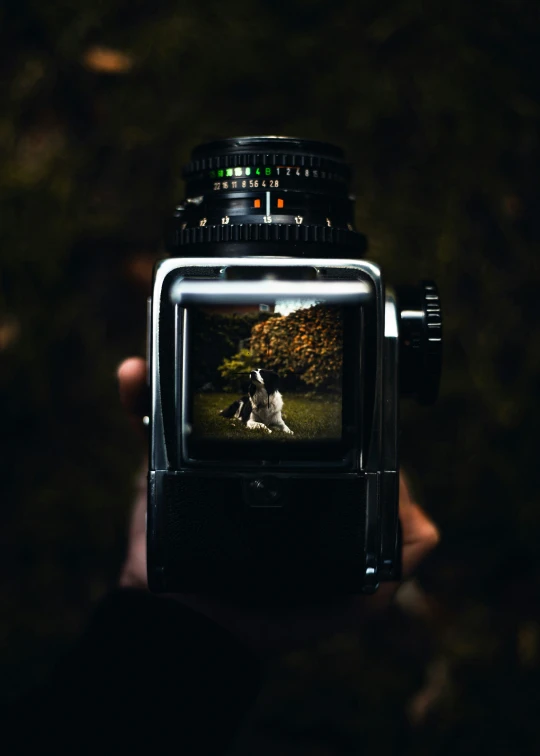 a person is holding up an electronic camera