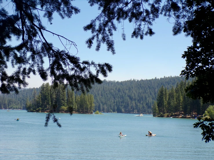 people are out in the water on their boats