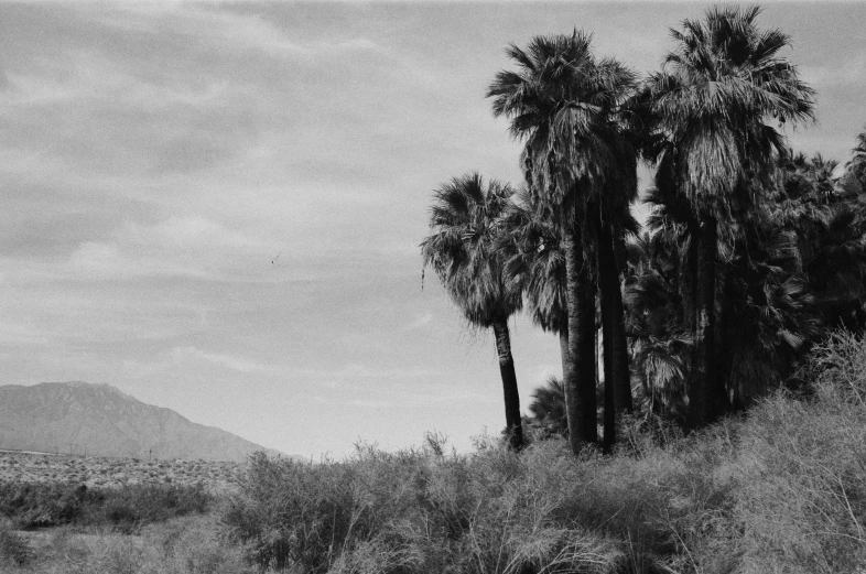 a black and white image of the desert