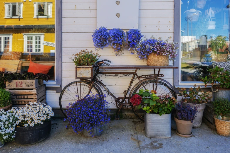 a bicycle that is parked outside with flowers on the back